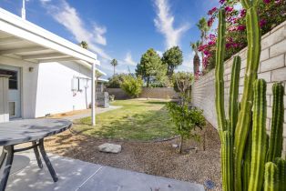 Single Family Residence, 1100 Via Escuela, Palm Springs, CA 92262 - 25