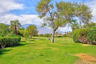 Condominium, 62 Pebble Beach dr, Rancho Mirage, CA 92270 - 43