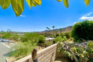 Single Family Residence, 4 Saturn cir, Rancho Mirage, CA 92270 - 3