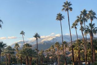 Condominium, 1111 Palm Canyon dr, Palm Springs, CA 92264 - 50