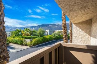 Condominium, 219 Louella rd, Palm Springs, CA 92262 - 29