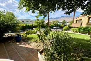 Condominium, 219 Louella rd, Palm Springs, CA 92262 - 50