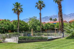 Condominium, 219 Louella rd, Palm Springs, CA 92262 - 69