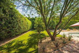 Single Family Residence, 1651 San Lorenzo rd, Palm Springs, CA 92264 - 34