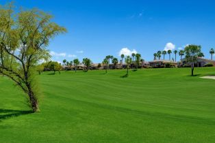 Condominium, 149 Rain Bird cir, Palm Desert, CA 92211 - 41