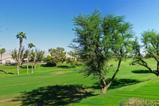 Single Family Residence, 39543 Manorgate Road, Palm Desert, CA  Palm Desert, CA 92211