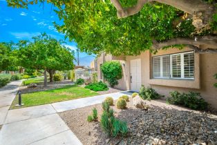 Condominium, 5633 Los Coyotes dr, Palm Springs, CA 92264 - 2