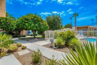 Condominium, 5633 Los Coyotes dr, Palm Springs, CA 92264 - 28