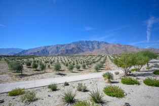 Single Family Residence, 283 Mustang ln, Palm Springs, CA 92262 - 32