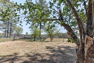 Single Family Residence, 35290 Butterfly Peak rd, Mountain Center, CA 92561 - 6