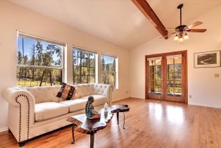 Single Family Residence, 35290 Butterfly Peak rd, Mountain Center, CA 92561 - 63