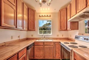 Single Family Residence, 35290 Butterfly Peak rd, Mountain Center, CA 92561 - 65