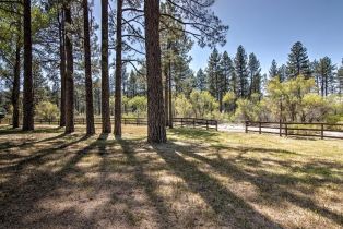 Single Family Residence, 35290 Butterfly Peak rd, Mountain Center, CA 92561 - 66