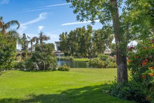 Single Family Residence, 43 Park ln, Rancho Mirage, CA 92270 - 38