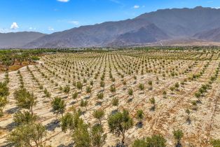 Single Family Residence, 3608 Ambassador dr, Palm Springs, CA 92262 - 56