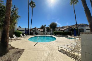 Condominium, 2350 Miramonte cir, Palm Springs, CA 92264 - 7