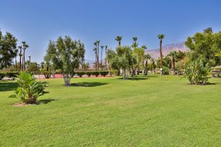 Condominium, 1421 Sunflower cir, Palm Springs, CA 92262 - 31