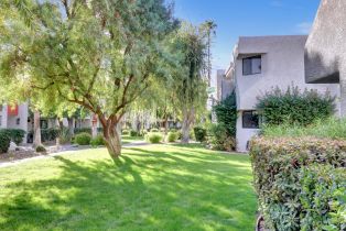 Condominium, 3155 Ramon rd, Palm Springs, CA 92264 - 2