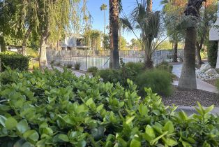 Condominium, 3155 Ramon rd, Palm Springs, CA 92264 - 40