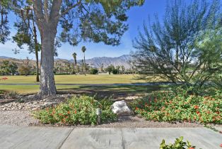 Condominium, 5300 Los Coyotes dr, Palm Springs, CA 92264 - 4