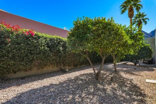 Single Family Residence, 77080 Sandpiper dr, Indian Wells, CA 92210 - 53