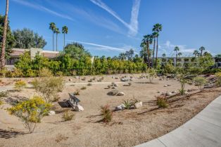 Condominium, 205 The Riv, Palm Springs, CA 92262 - 41