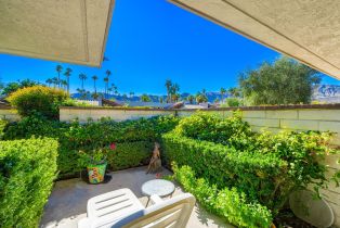 Single Family Residence, 115 Yale dr, Rancho Mirage, CA 92270 - 26