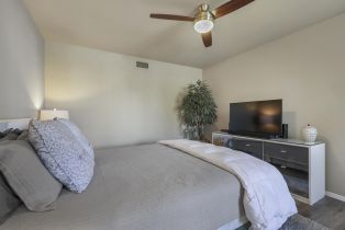 Condominium, 2545 Miramonte cir, Palm Springs, CA 92264 - 13