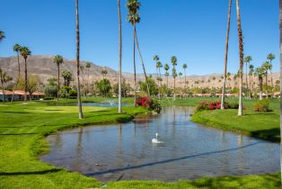 Condominium, 57 Torremolinos dr, Rancho Mirage, CA 92270 - 40