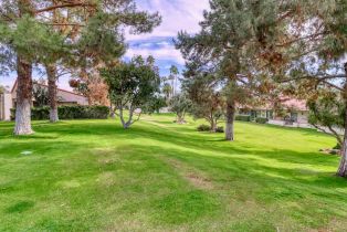 Condominium, 171 Winterhaven cir, Palm Desert, CA 92260 - 55