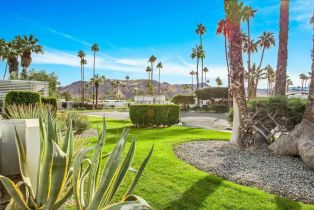 Condominium, 252 Canyon Vista dr, Palm Springs, CA 92264 - 53