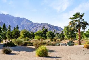 Condominium, 1533 Sunflower ct, Palm Springs, CA 92262 - 25