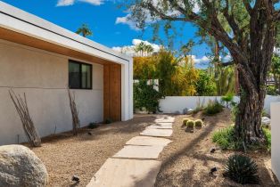 Single Family Residence, 2040 Chico dr, Palm Springs, CA 92264 - 59