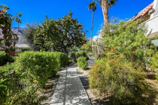 Condominium, 326 Santa Elena rd, Palm Springs, CA 92262 - 18