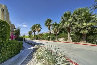 Condominium, 1407 Sunrise way, Palm Springs, CA 92262 - 27