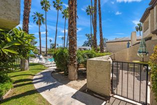 Single Family Residence, 53 Portola dr, Palm Springs, CA 92264 - 39