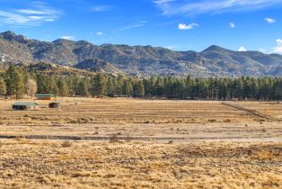 , 0 Butterfly Peak, Mountain Center, CA 92561 - 23