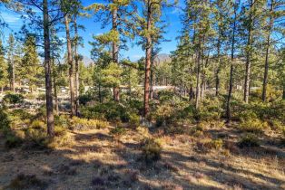 , 1 Pipe Creek rd, Mountain Center, CA 92561 - 14