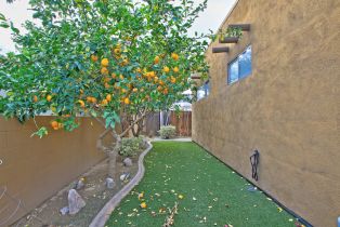 Single Family Residence, 51510 Avenida Obregon, La Quinta, CA 92253 - 24