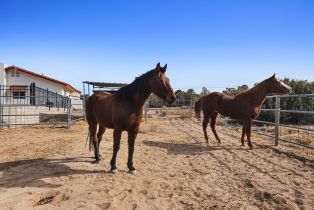 Single Family Residence, 68817 Delemont, Mountain Center, CA 92561 - 27
