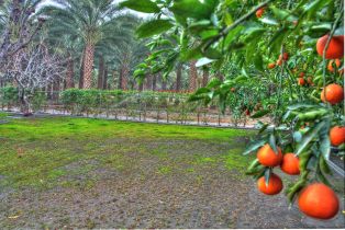 Single Family Residence, 84045 52nd ave, Coachella, CA 92236 - 13