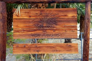 Single Family Residence, 84045 52nd ave, Coachella, CA 92236 - 4