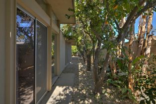 Single Family Residence, 1298 Manzanita ave, Palm Springs, CA 92264 - 29