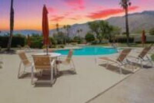 Single Family Residence, 1173 Alejo rd, Palm Springs, CA 92262 - 38