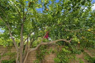 Single Family Residence, 50 Toscana way, Rancho Mirage, CA 92270 - 59