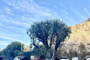 Condominium, 46855 Mountain Cove dr, Indian Wells, CA 92210 - 18