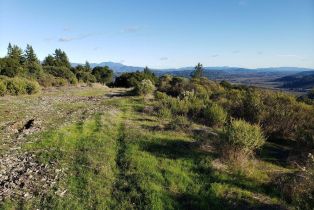 Residential Acreage,  Dry Creek road, Healdsburg, CA 95448 - 4