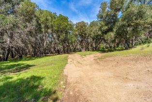 Residential Acreage,  Franz Valley School road, Calistoga, CA 94515 - 14