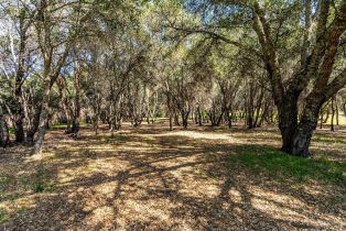 Residential Acreage,  Franz Valley School road, Calistoga, CA 94515 - 18