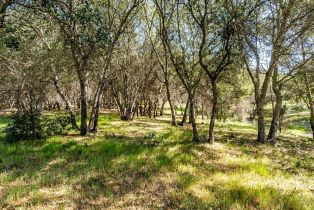 Residential Acreage,  Franz Valley School road, Calistoga, CA 94515 - 20